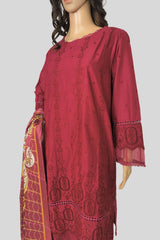 3 Piece Chikan Kaari Suit