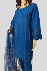 3 Piece Chikan Kaari Suit