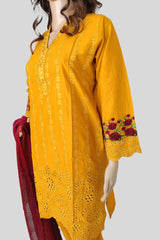 3 Piece Chikan Kari suit