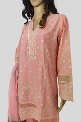 3 Piece Embroidered Chikan Kaari Suit