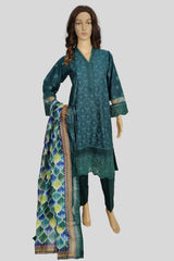 3 Piece Chikan Kaari Suit