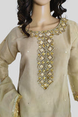 3 Piece Embroidered Organza Suit