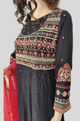 3 Piece Embroidered Chiffon Frock/Maxi