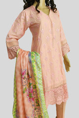 3 Piece Chikan Kaari Suit